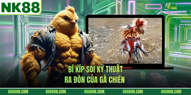 Bí kíp soi kỹ thuật ra đòn của gà chiến 