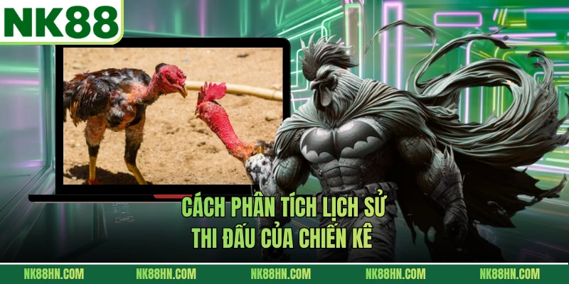 Cách phân tích lịch sử thi đấu của chiến kê 