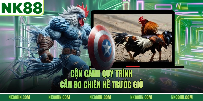 Cận cảnh quy trình cân đo chiến kê trước giờ