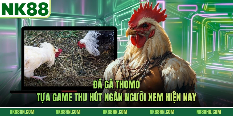 Đá Gà Thomo - Tựa Game Thu Hút Ngàn Người Xem Hiện Nay