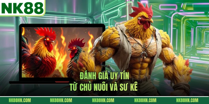 Đánh giá uy tín từ chủ nuôi và sư kê 