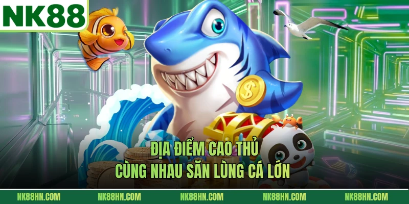 Địa điểm cao thủ cùng nhau săn lùng cá lớn 