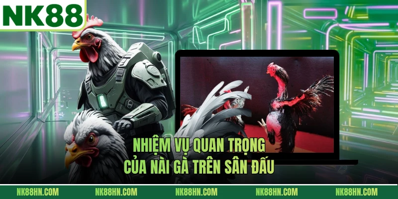 Nhiệm vụ quan trọng của nài gà trên sân đấu
