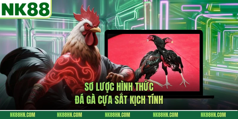Sơ lược hình thức đá gà cựa sắt kịch tính 