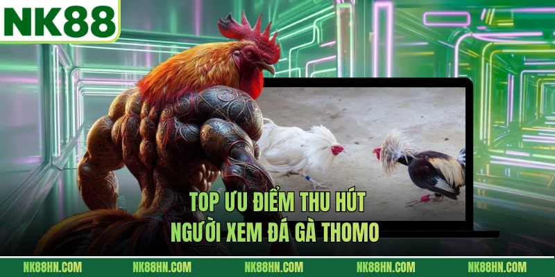 Top ưu điểm thu hút người xem đá gà Thomo 